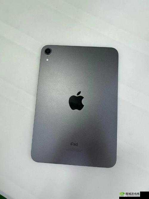 秘密入口 MINI6 安全保护:保障你的私人空间