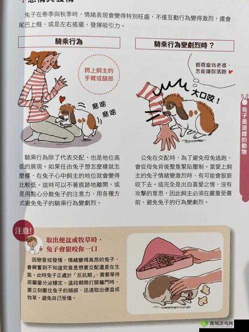 对象咬自己小兔兔：一种独特的感受