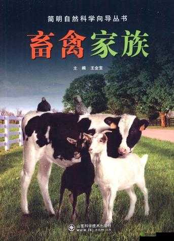 人与畜禽 CORPORATION 合作：开创美好未来