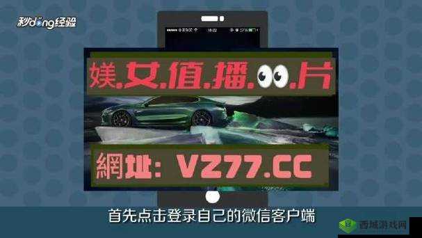 欧亚专线欧洲 S 码 WMY 不知所措:探寻背后真相