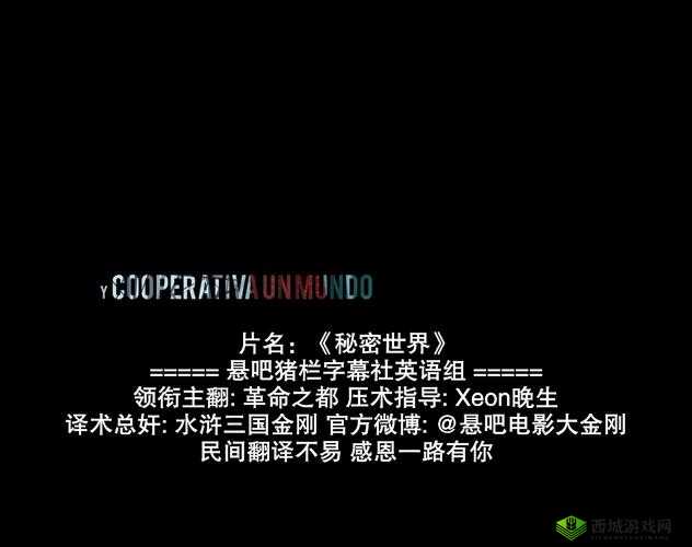最近中文字幕无吗：探寻字幕背后的秘密