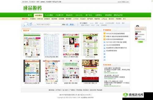 成品网站 W灬源码 16 在线：探索未知的网络世界