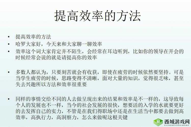 顶级优化技巧：提升效率的关键所在