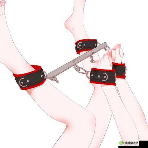 将手脚绑上拿刷子脚心外国:未知的刺激体验