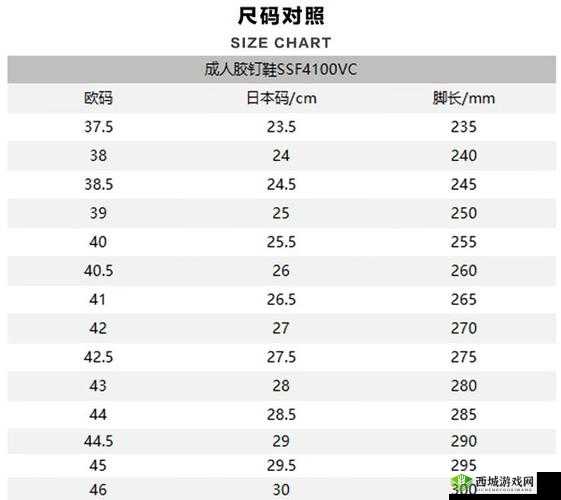 欧洲尺码日本尺码专线:优质服务之选