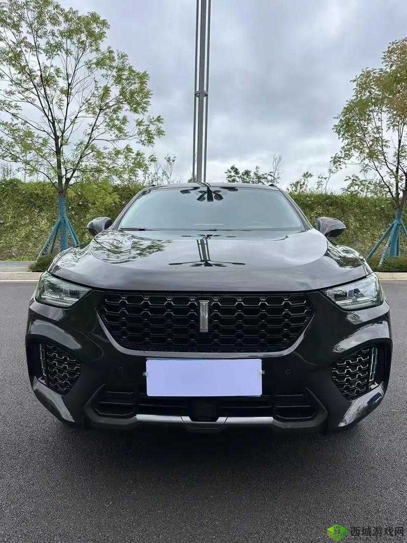 Wey VV5 国产 SUV:智能豪华,畅享驾驭乐趣