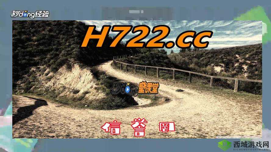 黄金网站APP在线观看下载大全：实用指南