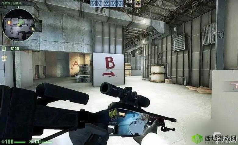 暴躁老阿姨 CSGO:游戏中的霸气存在