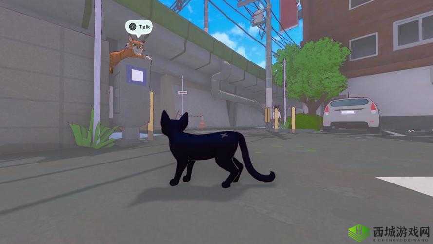小猫咪大城市浣熊任务怎么做之攻略