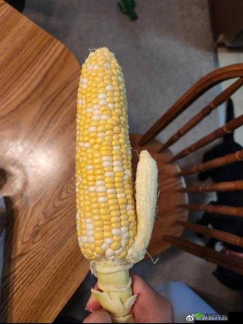 草莓樱桃丝瓜绿秋葵榴莲大全：美味果蔬集合