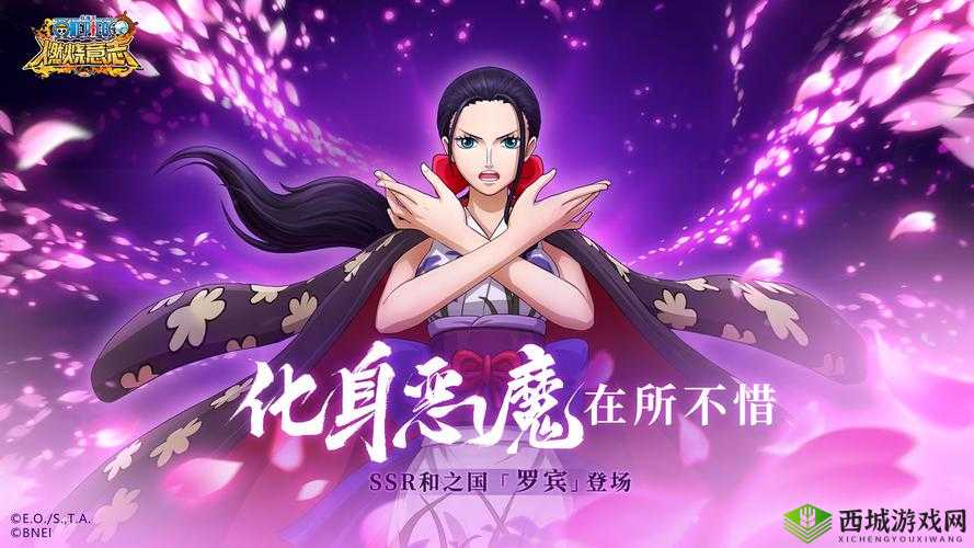 航海王启航：英雄搭配秘籍，打造无敌舰队