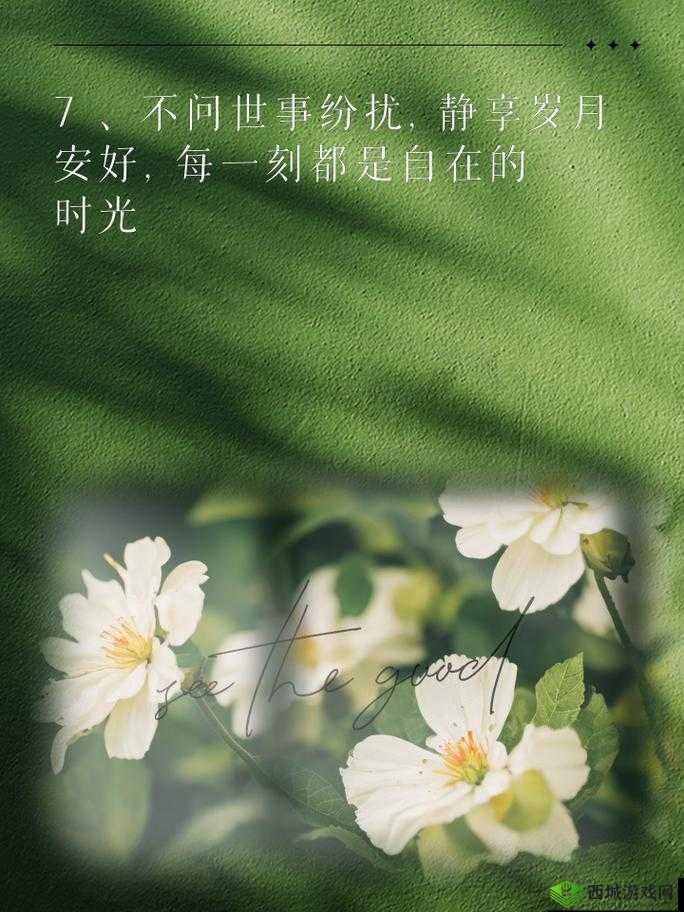 轻松享受两种美好时光：惬意时光尽情享