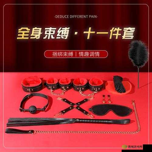 国精产品一品二品国精 HTC：情趣玩具的新选择