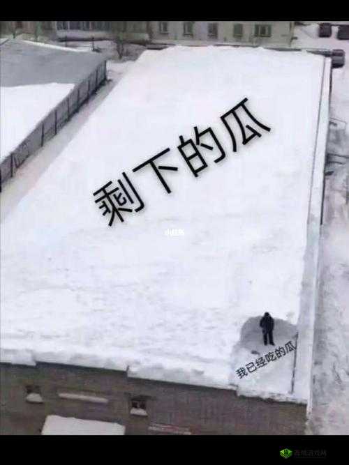 51吃瓜北京朝阳群众热心吃瓜:背后的故事