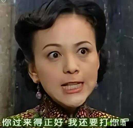 激战 2 雪姨和奶爸谁厉害:深度解析对比