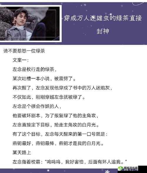 代号虫族安装及配置详细说明指南：切准备就绪，迈向完美部署之旅