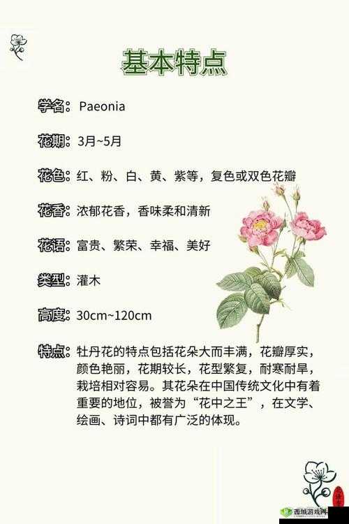 亭亭玉立国色天香四月天科普:花卉知识简介