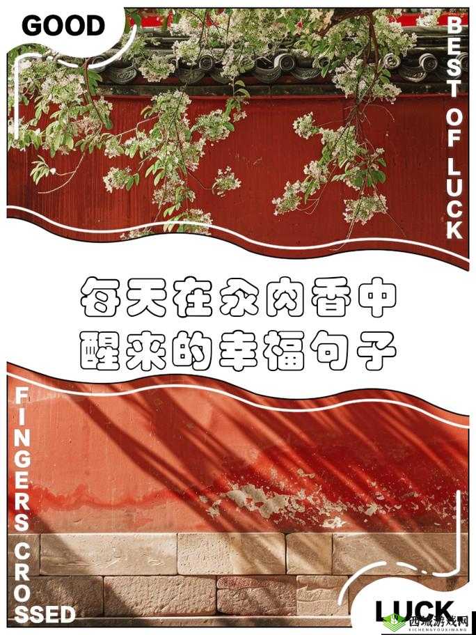 每天都在汆肉中醒来江山：肉香四溢的奇幻世界