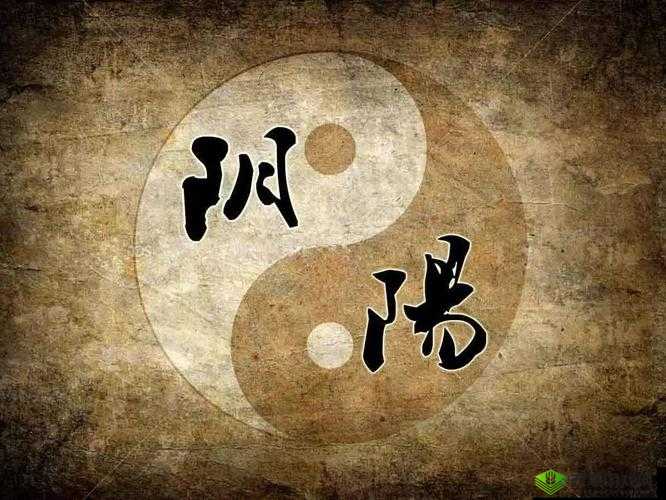 母与子：阴阳调和的生命奥秘