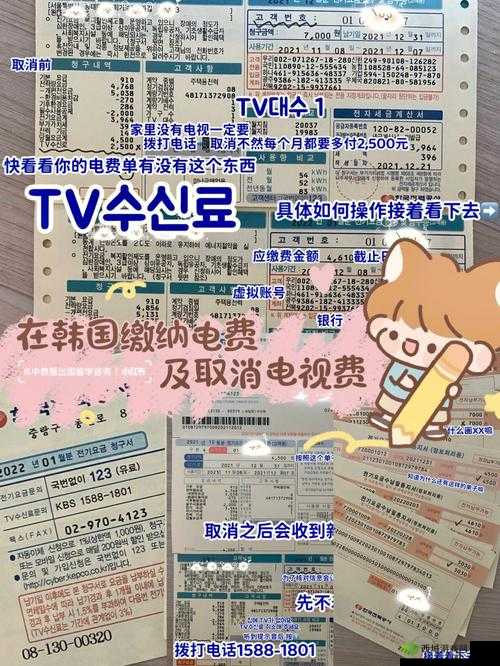 韩国三色电费 2024 年是否免费现况