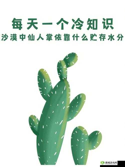 鎺㈢储闈掓ゼ浼犲獟:神奇的传说