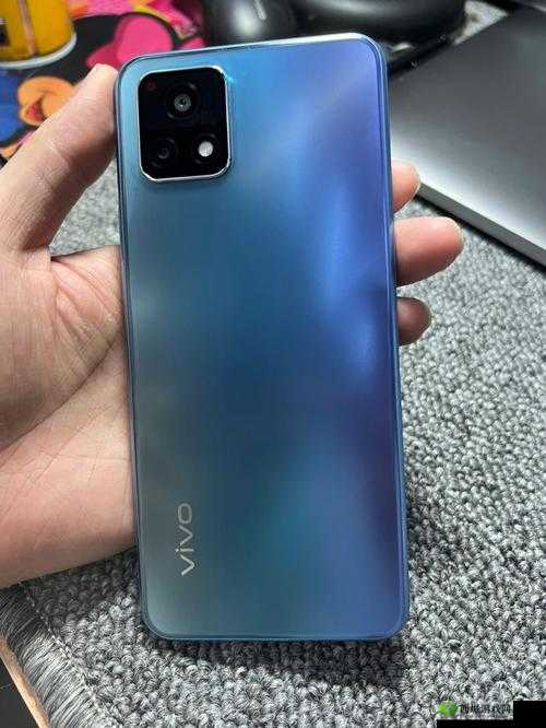 濂芥垚鑹茬殑 y31s:这是什么意思呢