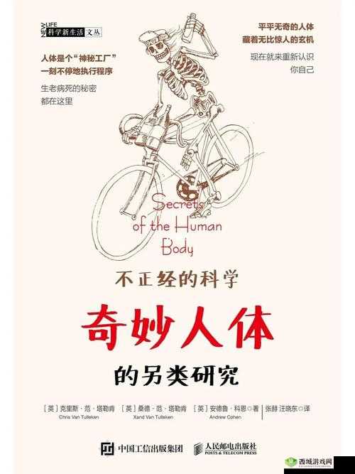 美国人的奇妙经历与感悟