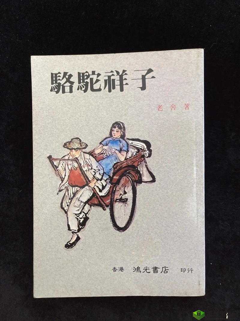 老孙头的春天:沧桑岁月中的故事