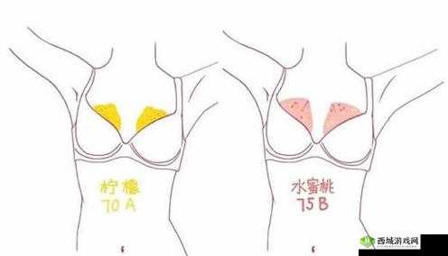 B 大:小的区别