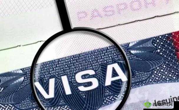 解析 JANPENSEVISA：含义与作用