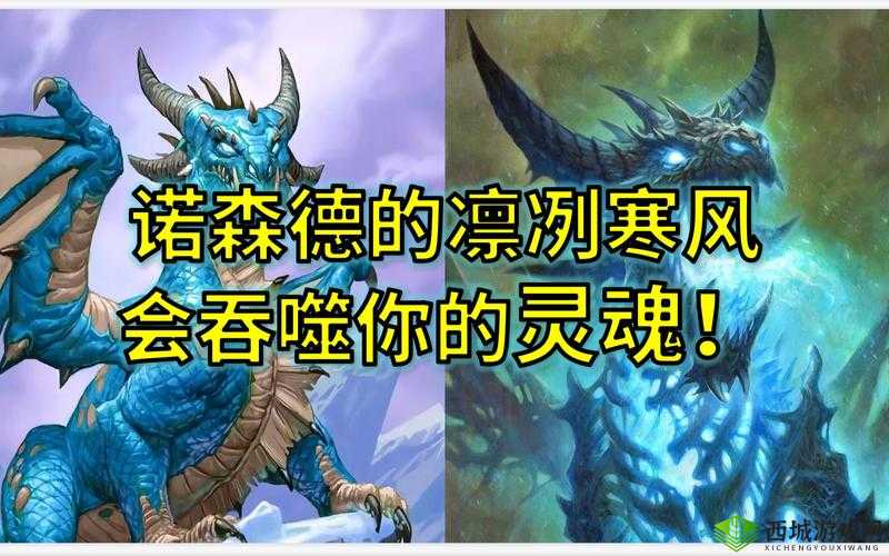 炉石传说辛达苟萨全面解析：冰霜巨龙辛达苟萨的图鉴与实战攻略