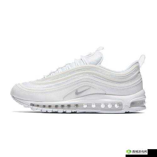 AIRMAX97 杂交有什么特点:独特魅力解析