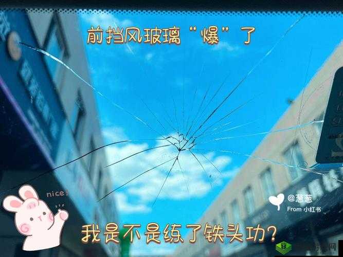 9 分 10 秒头撞玻璃事件始末
