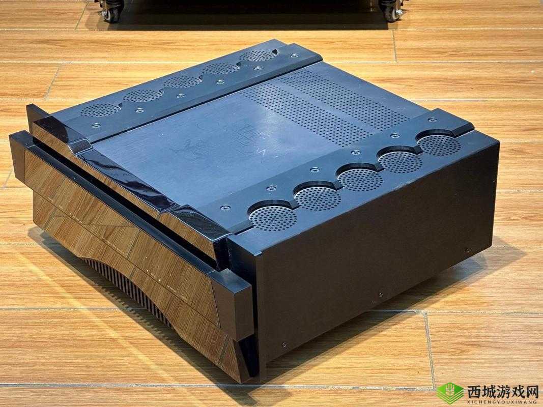 贵丰大菠萝 805D4：顶级音响设备新宠