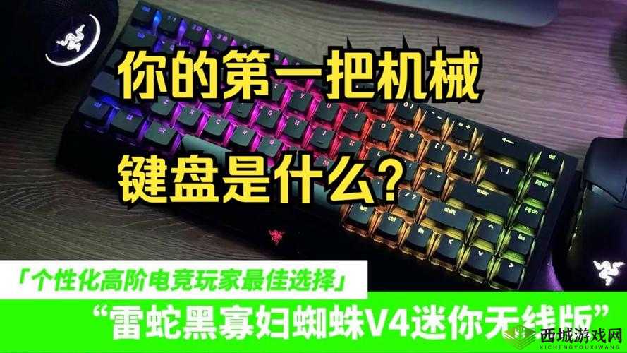 黑寡妇ESSENTIAL:卓越电竞装备新选择