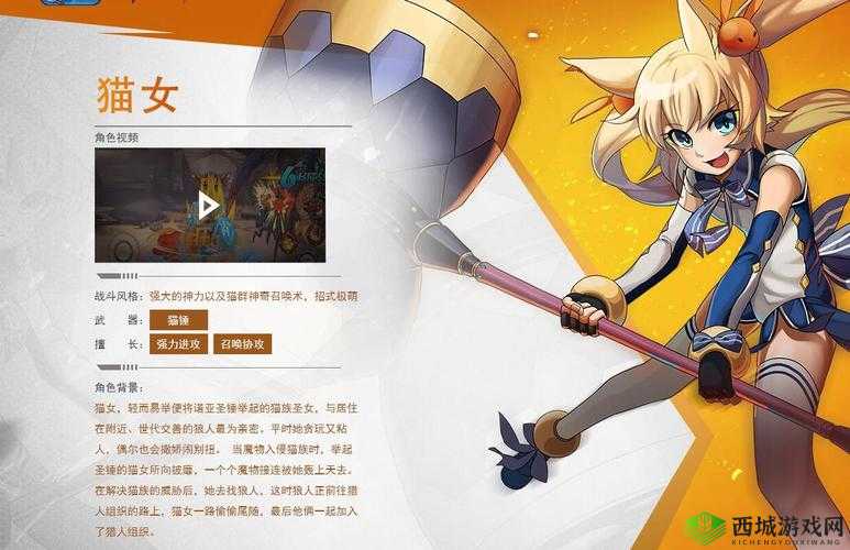 时空猎人猫女技能深度解析:搭配推荐与操作指南