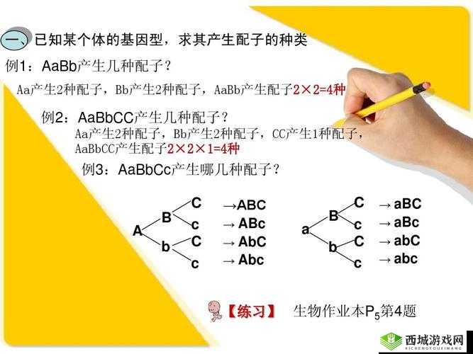 是 AAA 好还是 AABBCC:二者该如何选择