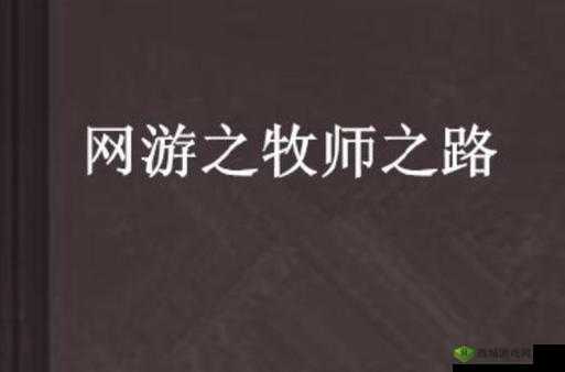 《探索奇幻之旅:希望传说牧师转职之路全面解析》