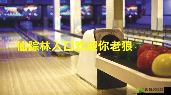 仙踪林官方网站:欢迎你