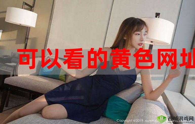 黄色视频 APP 下载：成人必备，私密享受