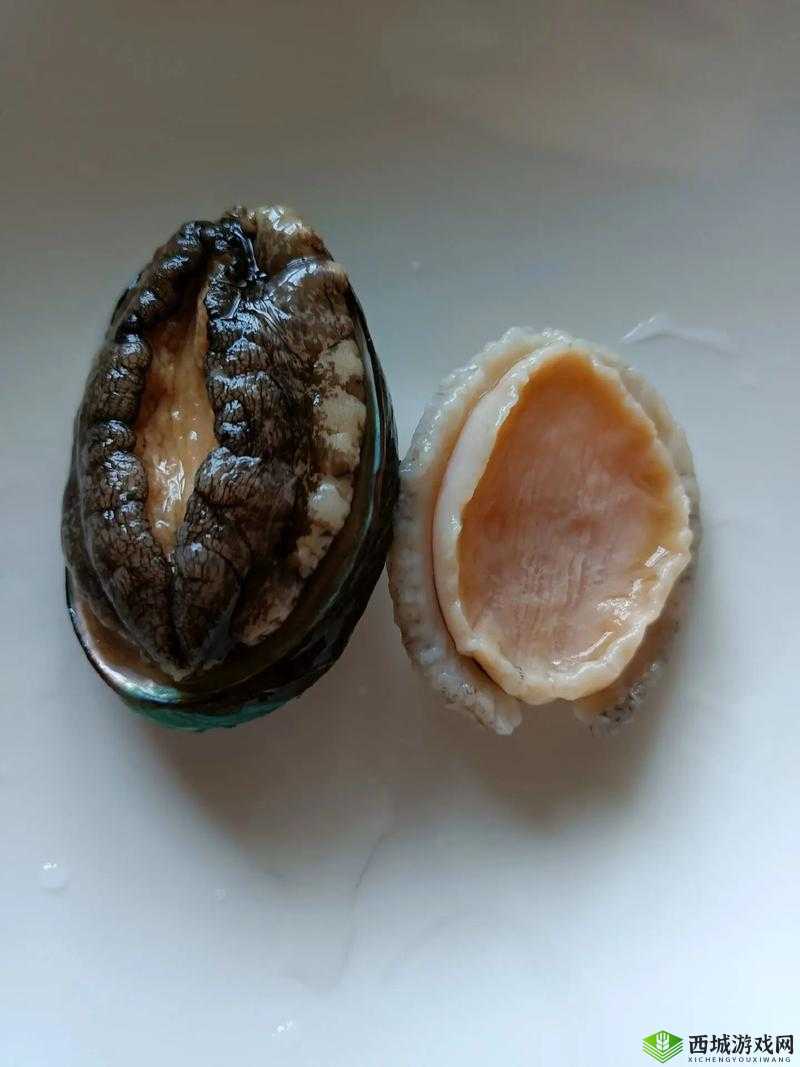 鲍鱼一般人吃得起吗:消费真相揭秘