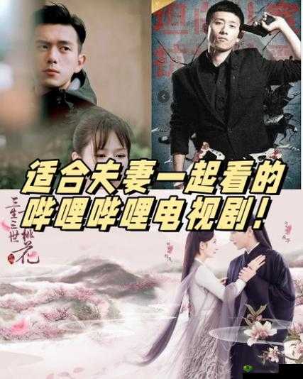 适合夫妻一起看的哔哩哔哩电视剧:共同的观影选择