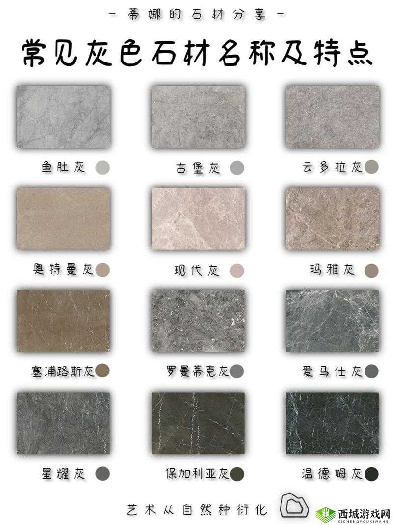 各种 B 型图片:独特视角展现多样风格