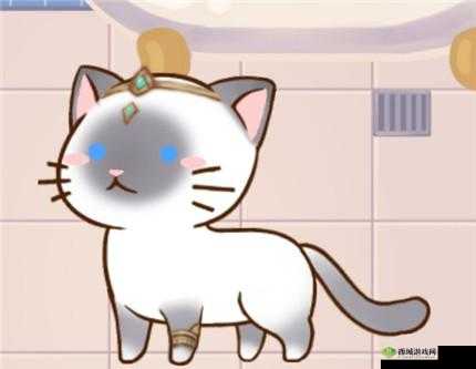 猫宅 97 月月获取攻略详解:稀有猫咪月月解锁秘籍全公开