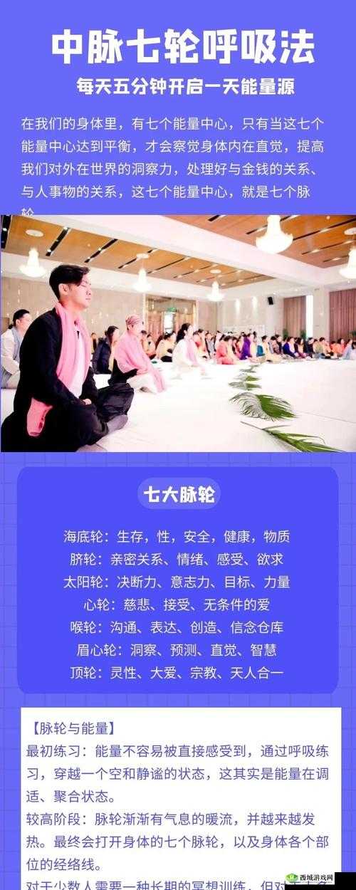 查克拉丸的神秘功效:能量之源与多维应用的探索
