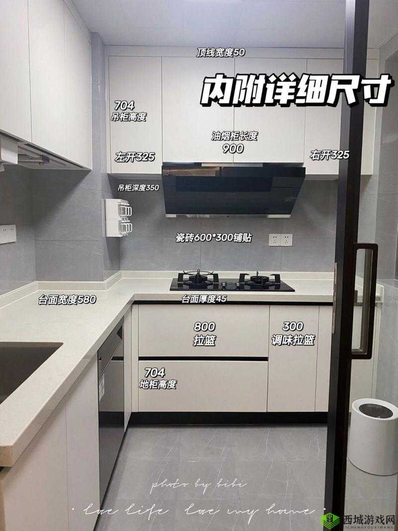 我想和你从厨房到阳台的浪漫:携手一生