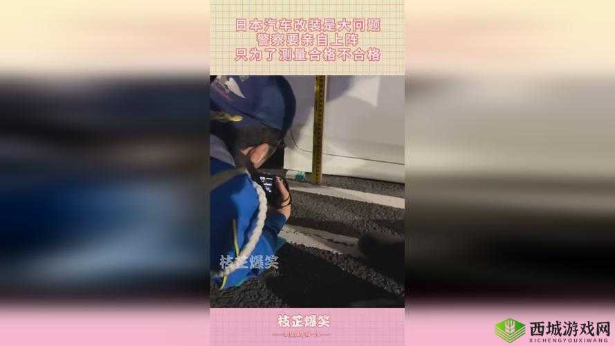 四川 BBB 桑 BBB 桑 BBB:关于它的介绍