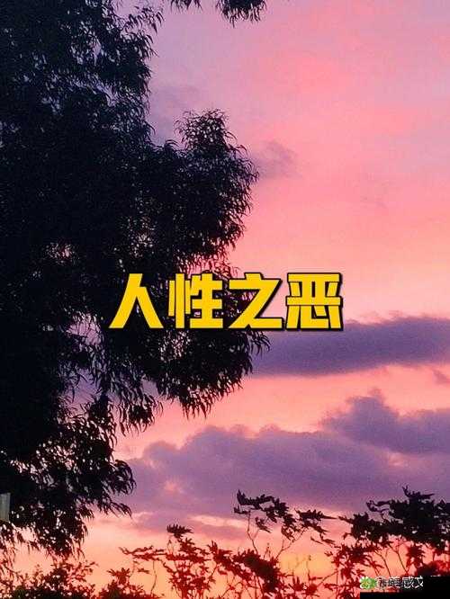 欧美人与 zoo 的故事:探索背后的文化与人性