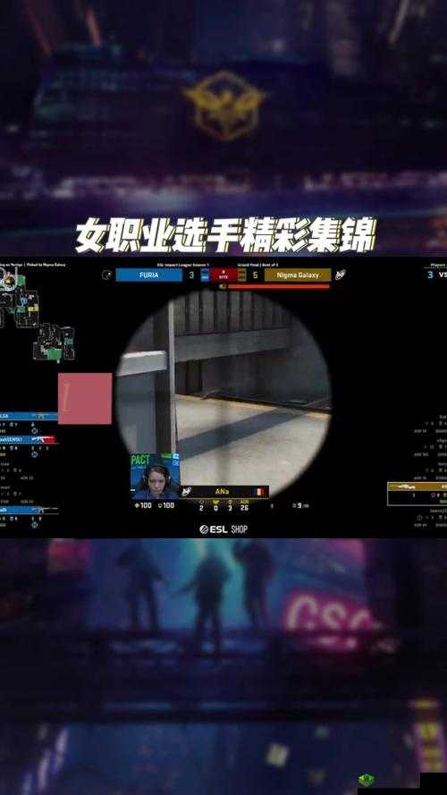 csgo 免费观看网站入口:精彩赛事等你看