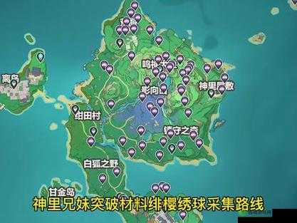 《原神探秘:绯樱绣球购买攻略详解》